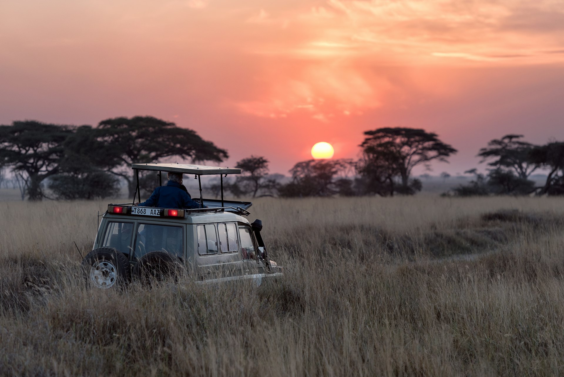 6-Day Amboseli, Lake Nakuru & Tsavo Circuit
