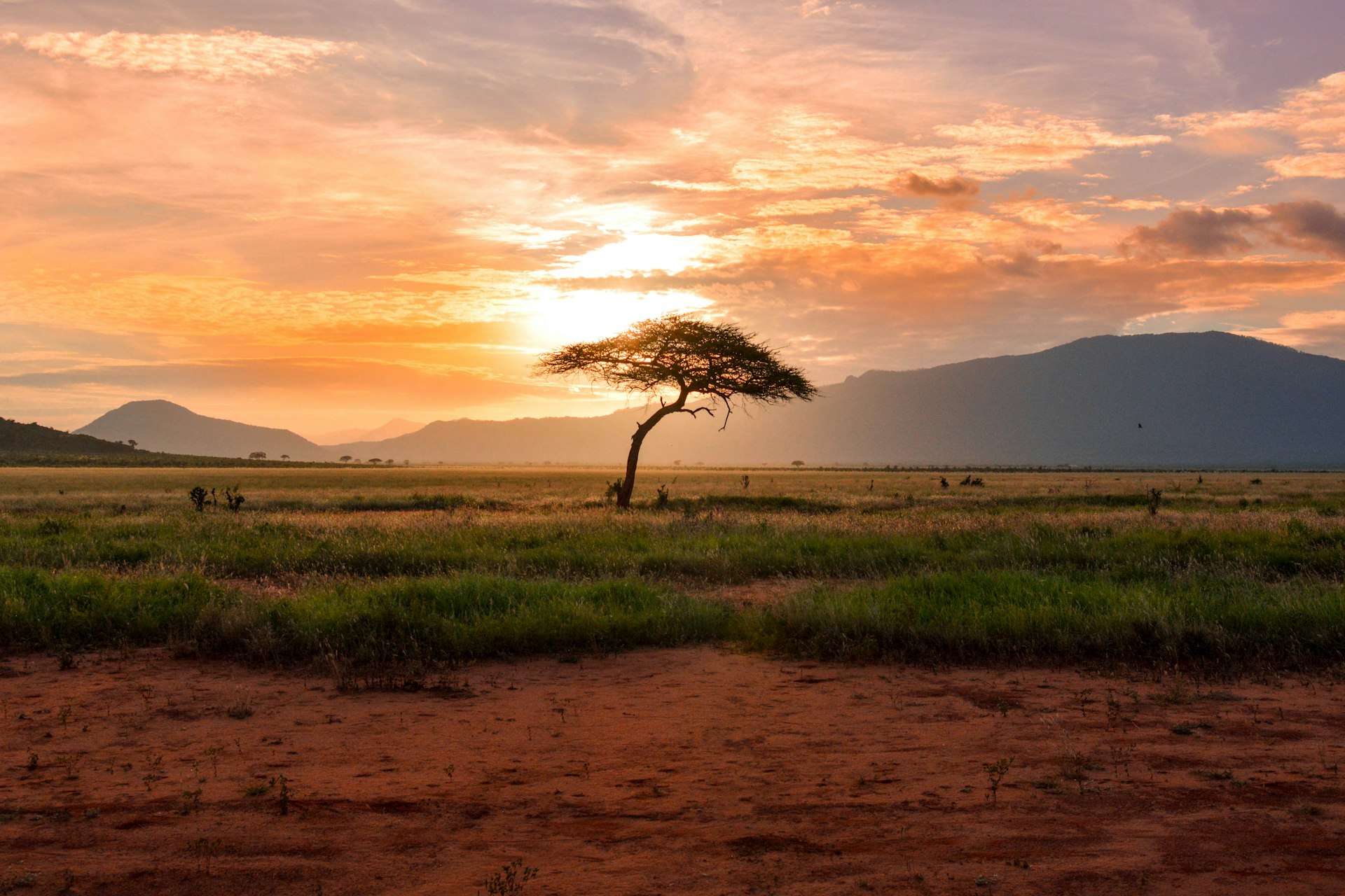 Tanzania