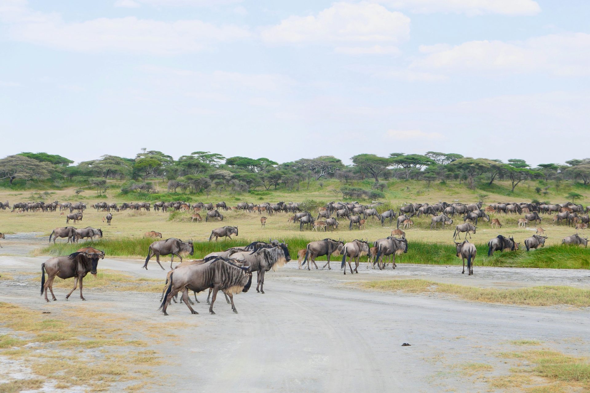 East Africa Grand Tour